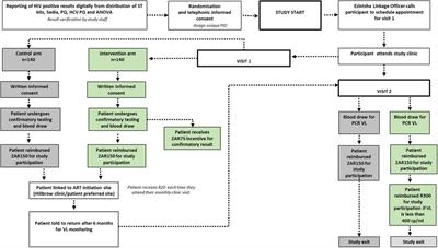 Incentives to promote accessing HIV care and viral suppression among HIV self-screening test users who obtain a reactive result